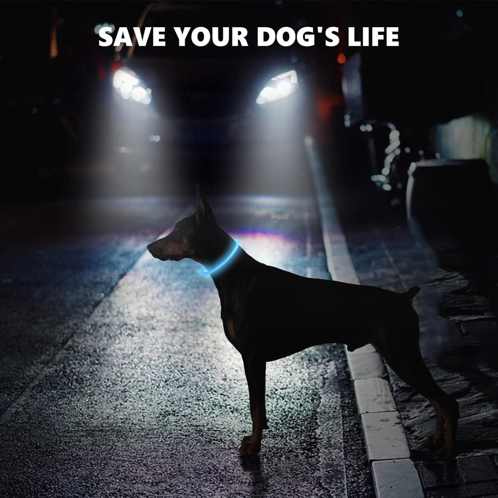 SerDa-Run Light Up Dog Collar, Dog Collar Lights | ObaPet