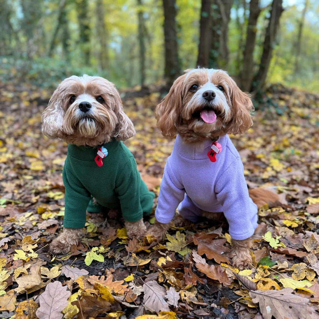 Warm Four-Legged Dog Fleece – Super Soft, Weather-Resistant (Coral, Medium)