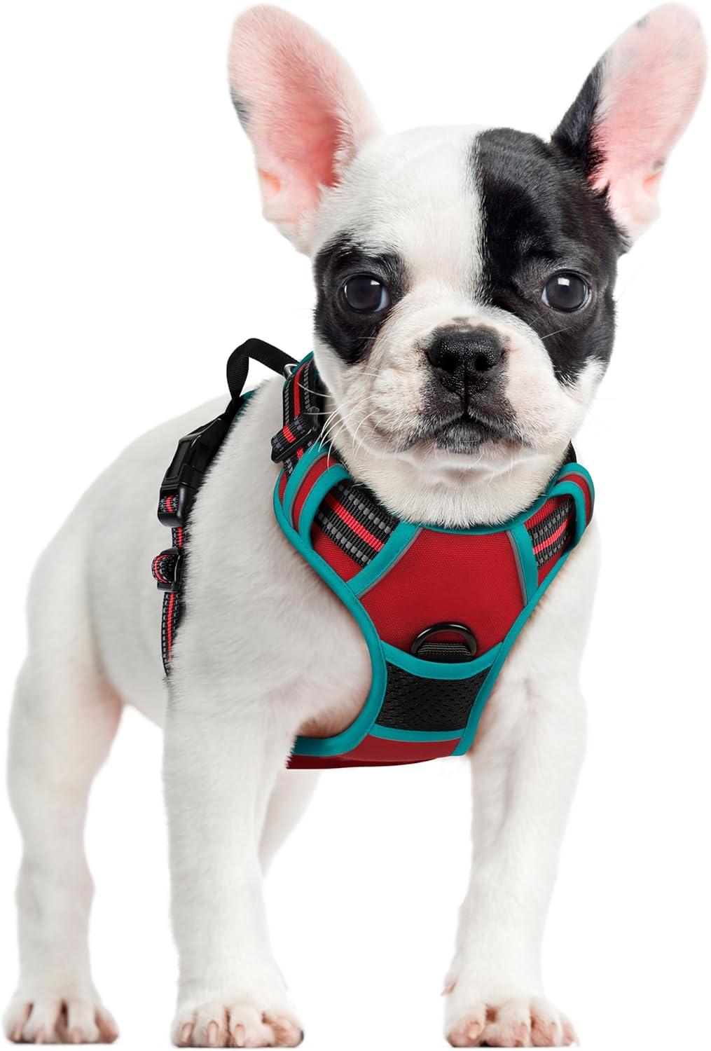 rabbitgoo Dog Harness Dog No Pull Pet Harness | ObaPet