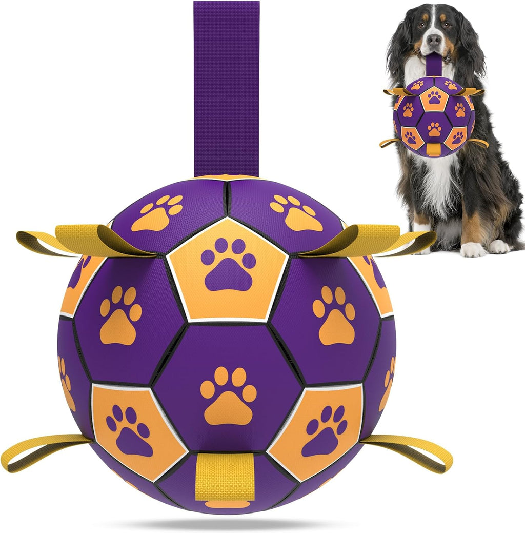 HETOO Interactive Dog Football Toys with Grab | ObaPet