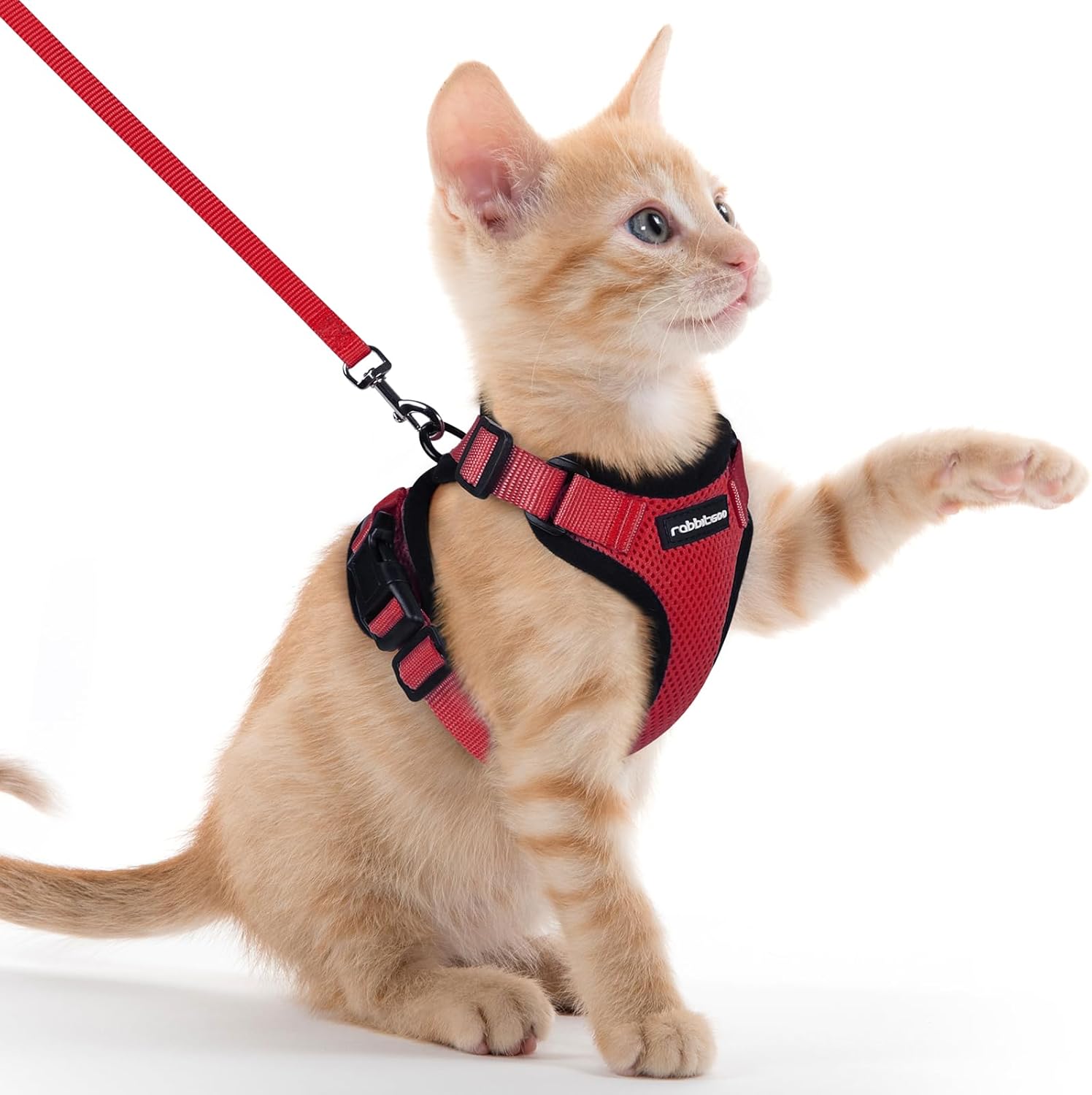 rabbitgoo Cat Harness and Lead Set, Escape Proof | ObaPet