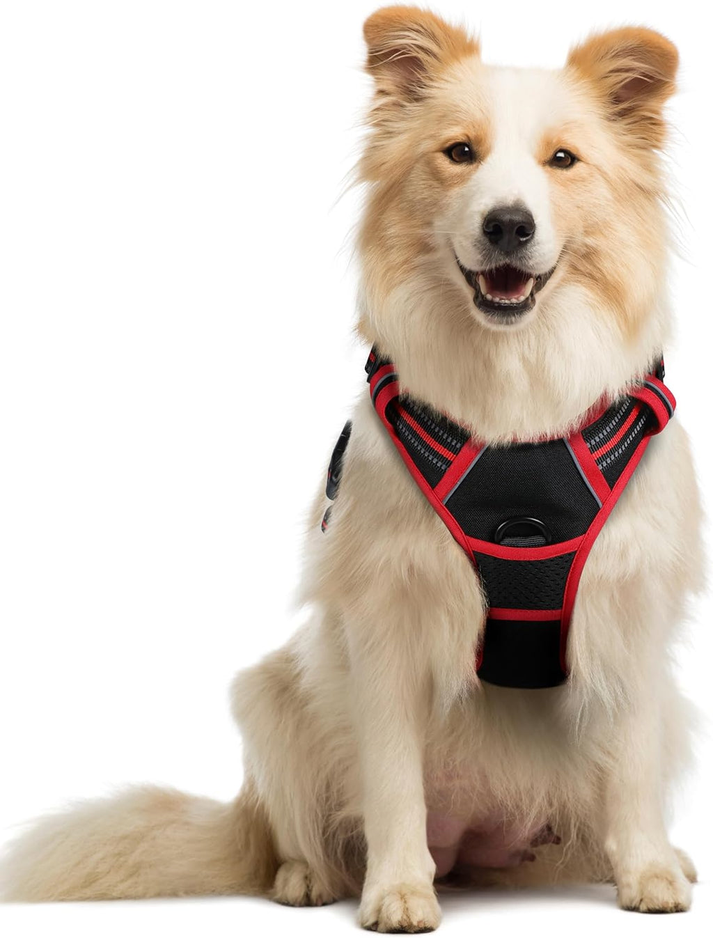 rabbitgoo Dog Harness Dog No Pull Pet Harness | ObaPet