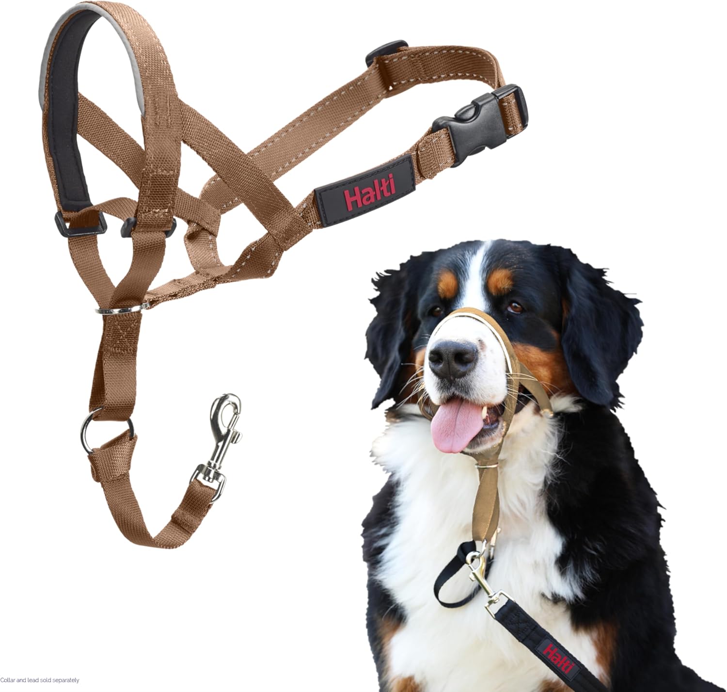 HALTI Headcollar, UK Bestselling Harness to Stop | ObaPet