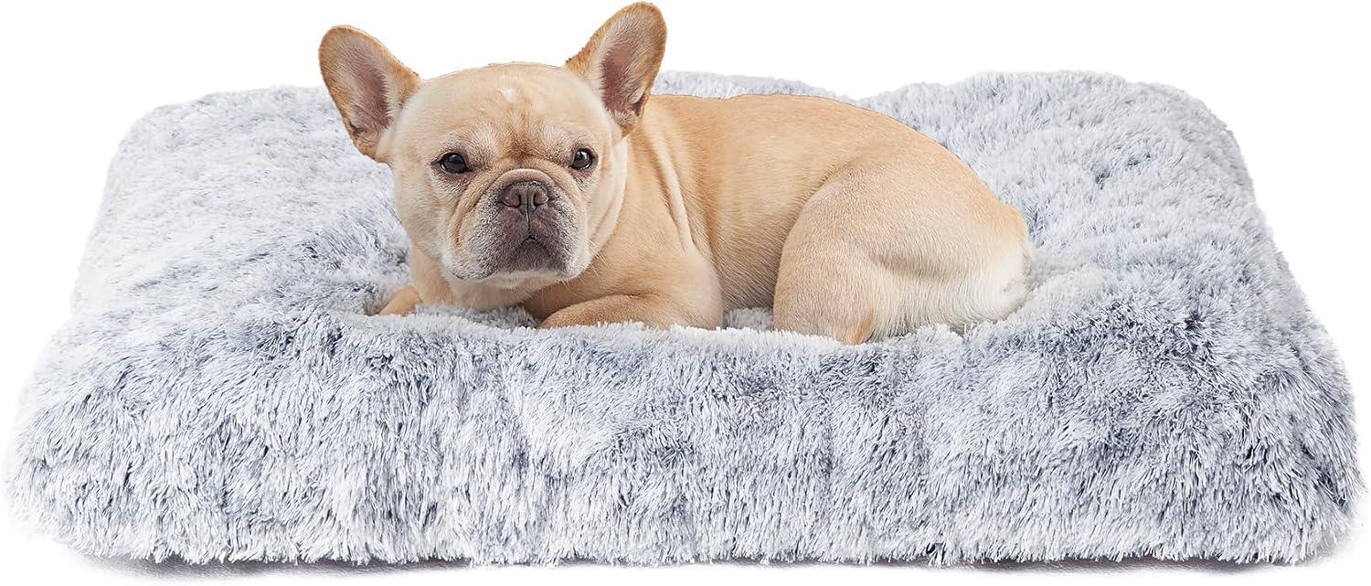 EHEYCIGA Calming Dog Bed Medium, Fluffy Anti | ObaPet