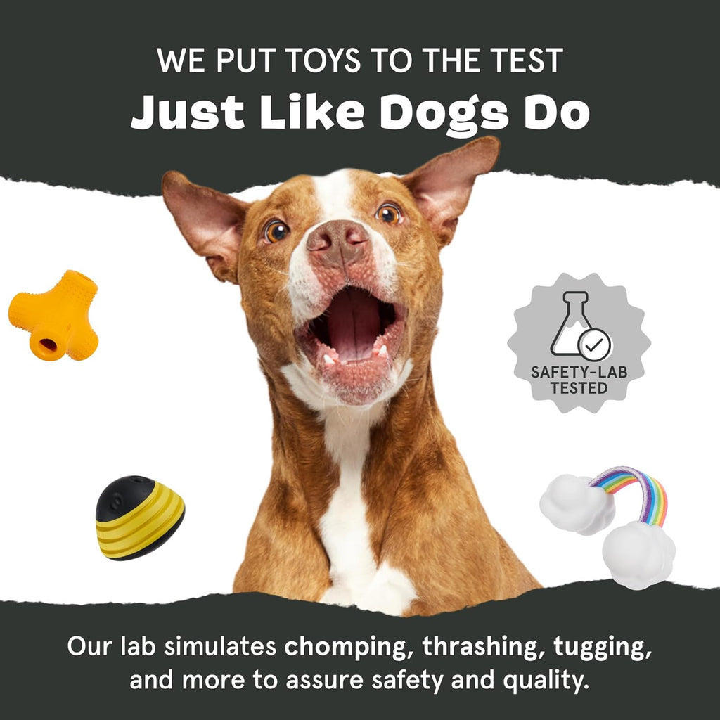 Barkbox Squeaky Dog Toys - Plush and Squeak Chew Toys | Puppy and Pet Toys for Large Dogs Pinata - Large