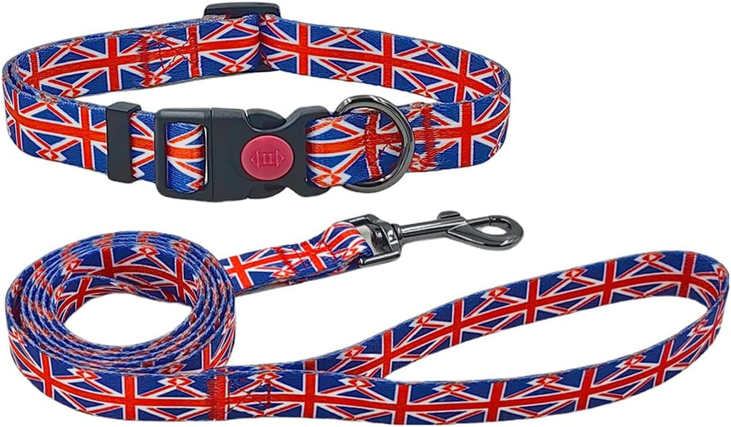 Olahibi Daisy Pattern Dog Collar and Leash | ObaPet