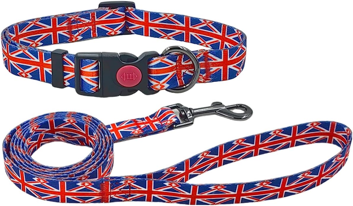 Olahibi Daisy Pattern Dog Collar and Leash | ObaPet