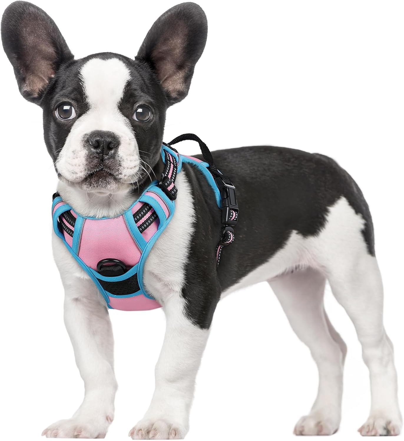 rabbitgoo Dog Harness Dog No Pull Pet Harness | ObaPet
