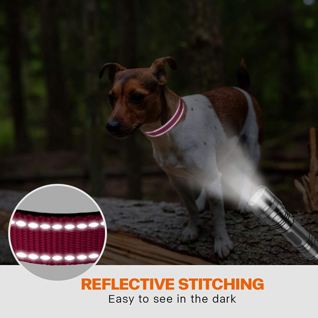 Taglory Reflective Nylon Dog Collar with Safety | ObaPet