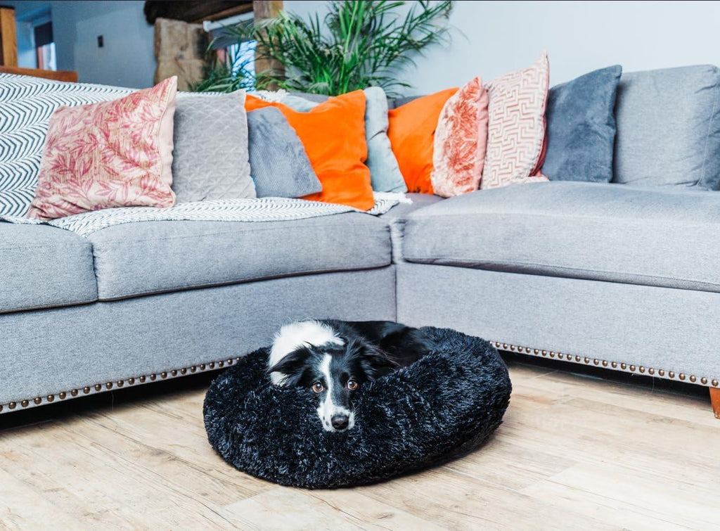 Woof & Whiskers Donut Beds For Dogs Grey Dog Bed | ObaPet