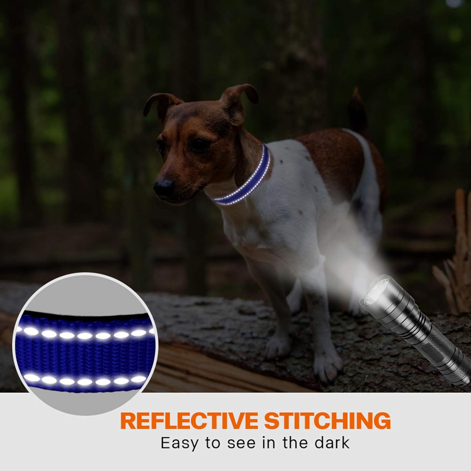 Taglory Reflective Nylon Dog Collar with Safety | ObaPet