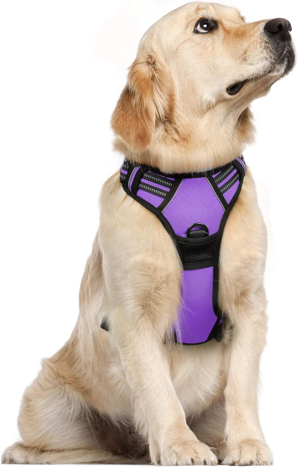 rabbitgoo Dog Harness Dog No Pull Pet Harness | ObaPet