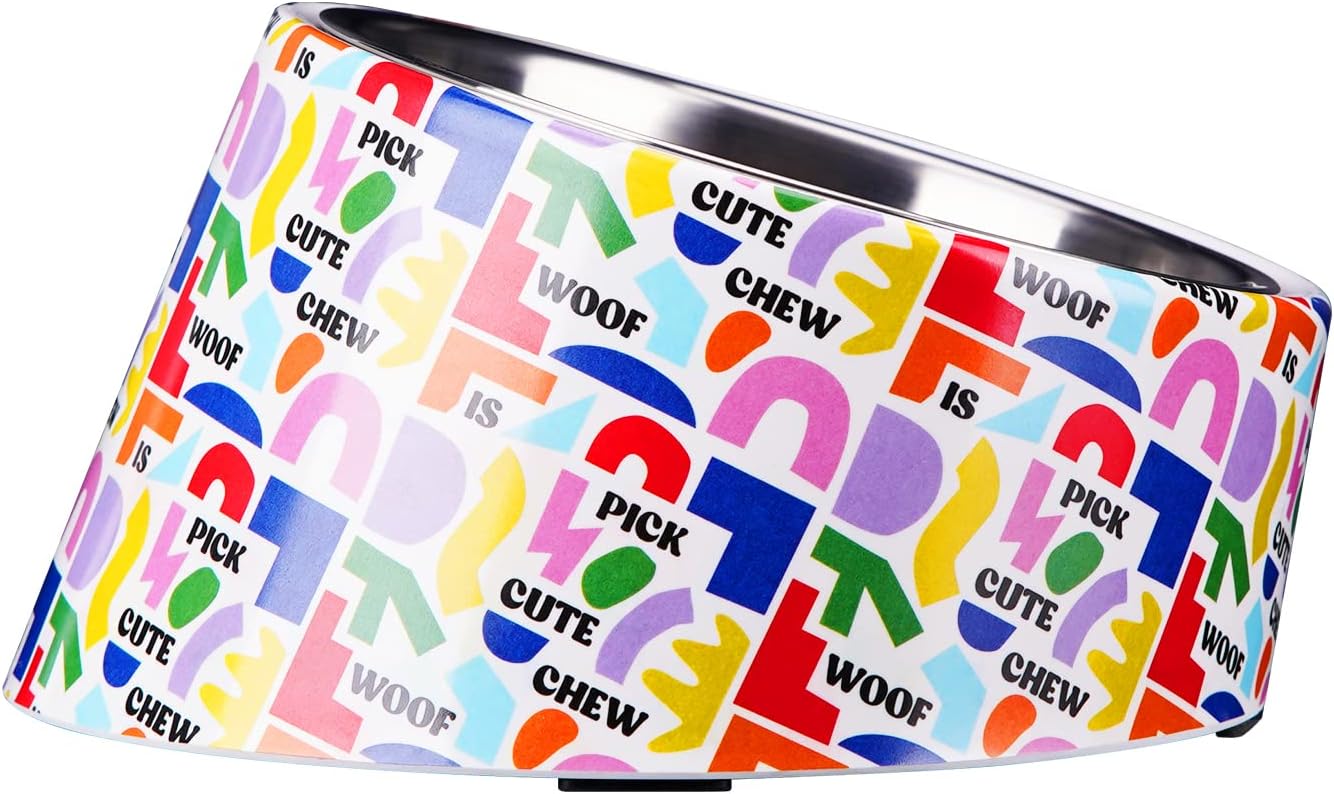 SuperDesign Mess Free 15° Slanted Bowl for Dogs | ObaPet