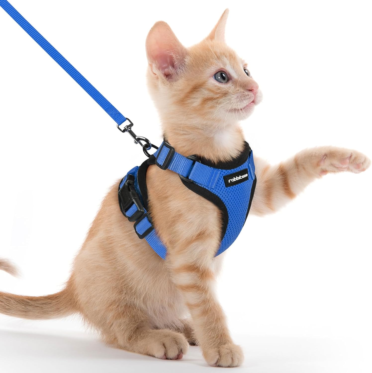 rabbitgoo Cat Harness and Lead Set, Escape Proof | ObaPet
