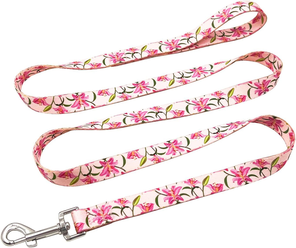 Olahibi Daisy Pattern Dog Collar and Leash | ObaPet