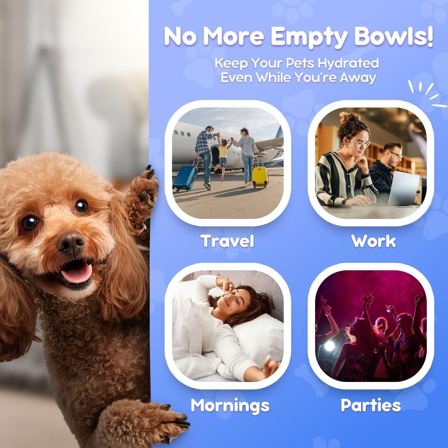 Flexzion Gravity Pet Water Dispenser Drinking | ObaPet