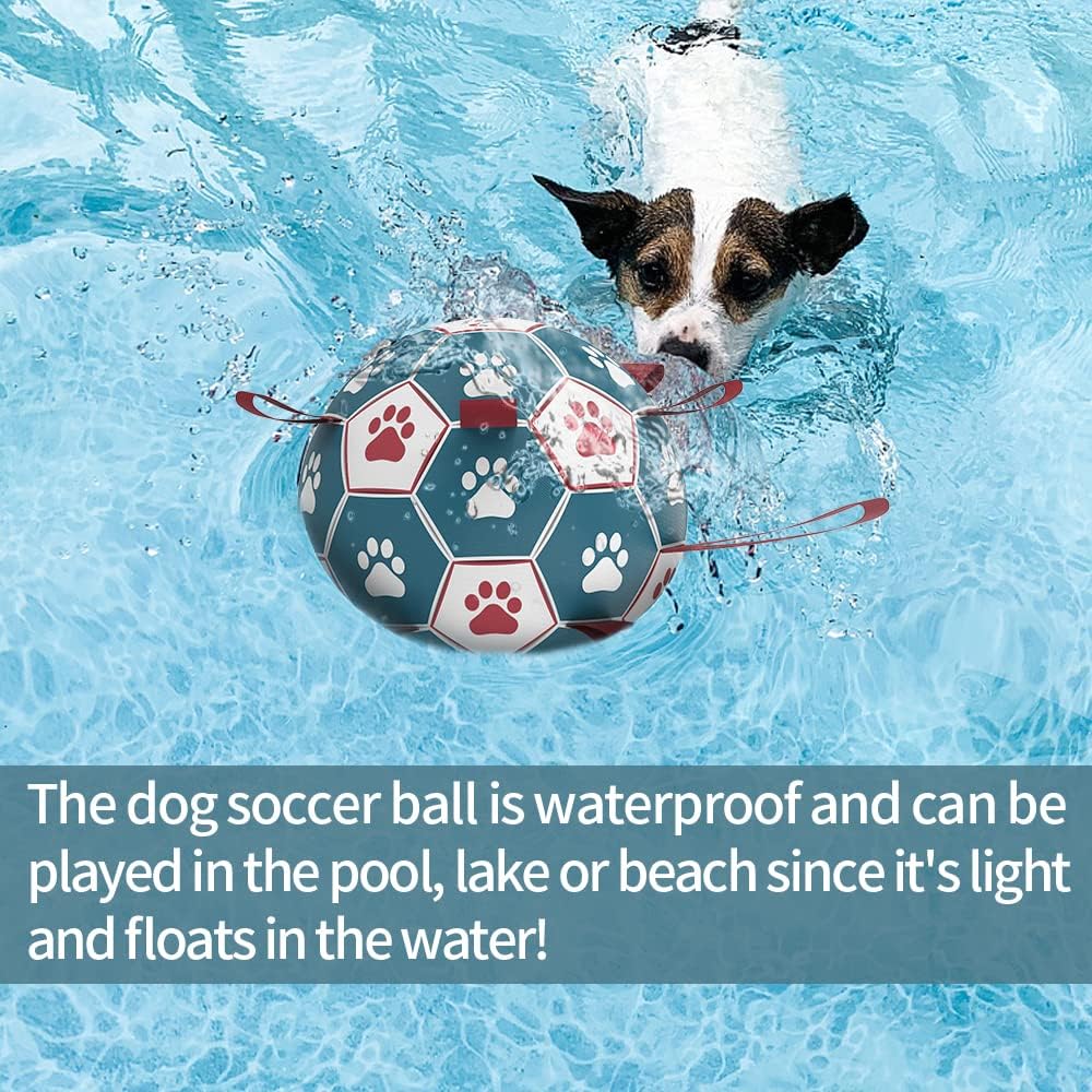 HETOO Interactive Dog Football Toys with Grab Tabs, Durable Dog Water Balls for Small Medium Breed, Indoor & Outdoor