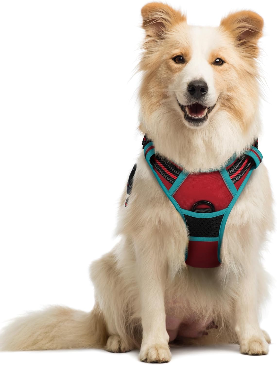 rabbitgoo Dog Harness Dog No Pull Pet Harness | ObaPet