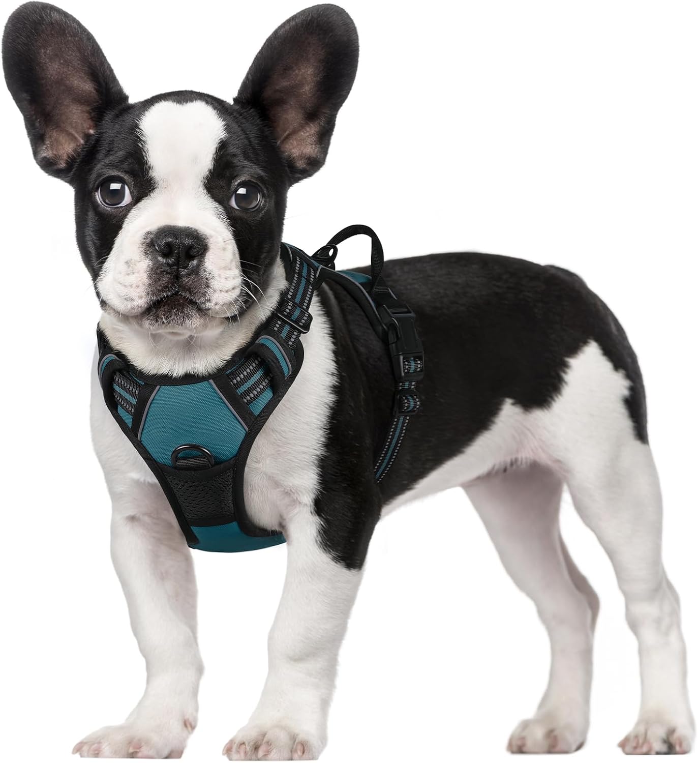 rabbitgoo Dog Harness Dog No Pull Pet Harness | ObaPet