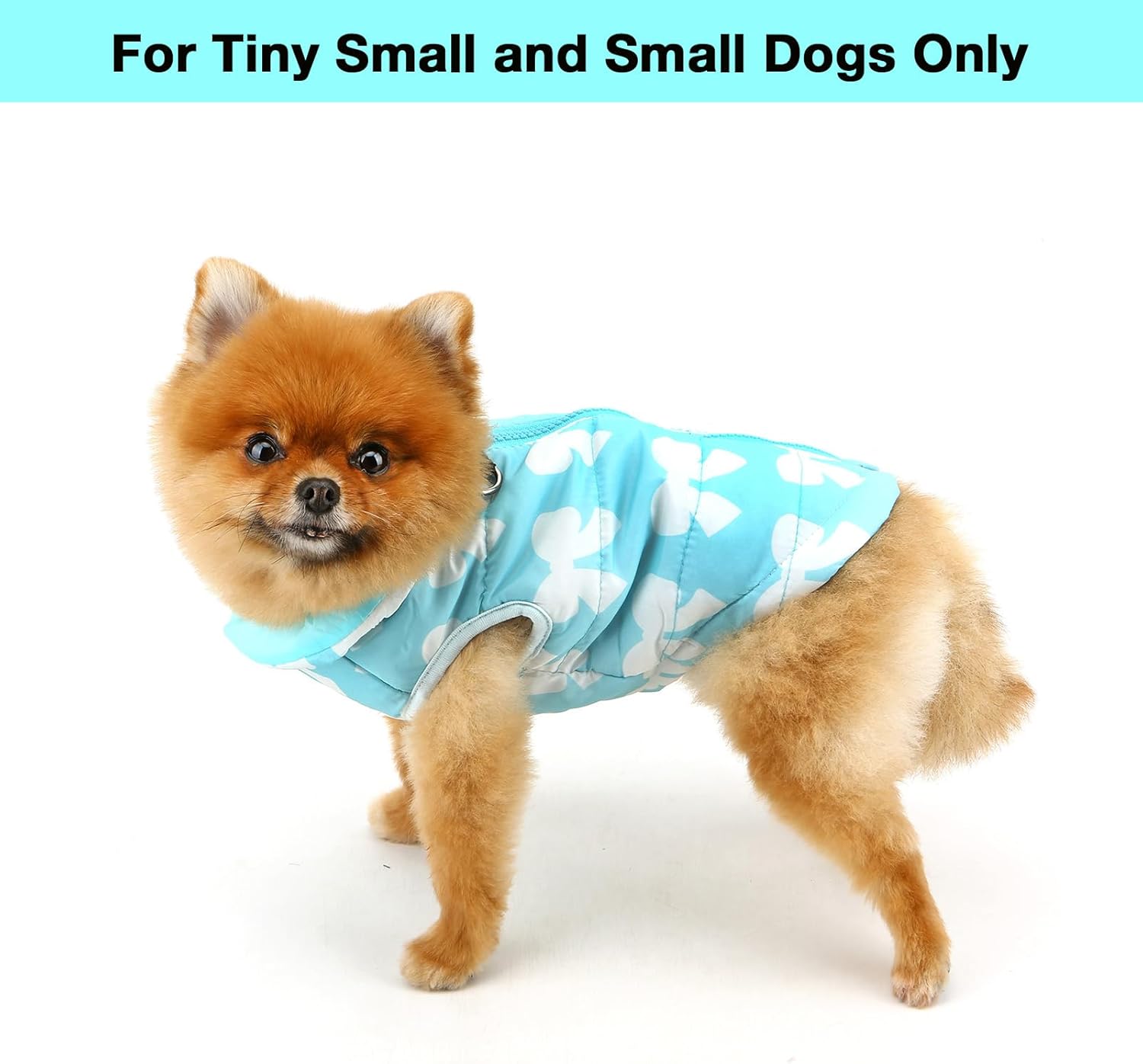 SMALLLEE_LUCKY_STORE Small Dog Cat Winter Coat Harness Jacket with D-ring Boy Girl Pet Puppy Comfort Padded Bomber Vest No Pull Chihuahua Clothes Pink Bows XS