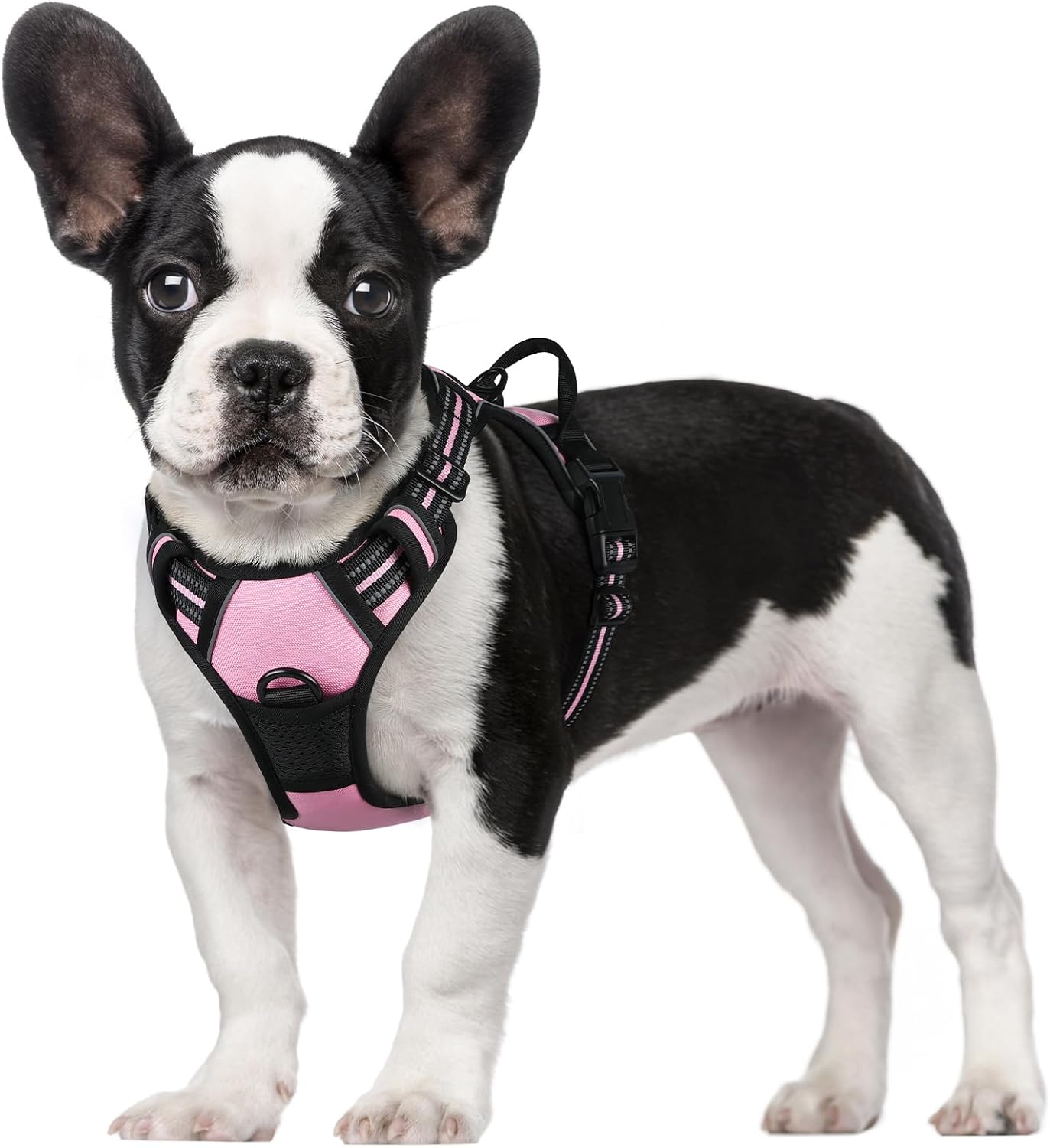 rabbitgoo Dog Harness Dog No Pull Pet Harness | ObaPet