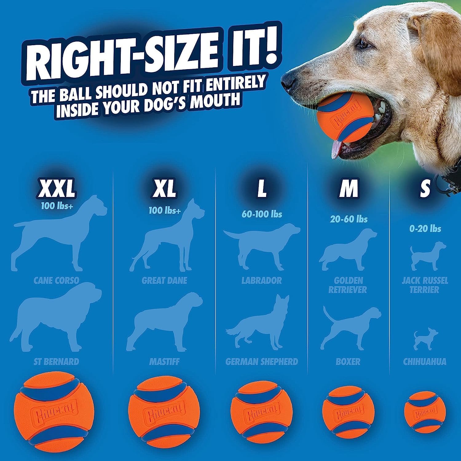 Chuckit! Ultra Tug Dog Toy With Rubber Ball Tug Of War Interactive Fetch Toy for Dogs, Medium