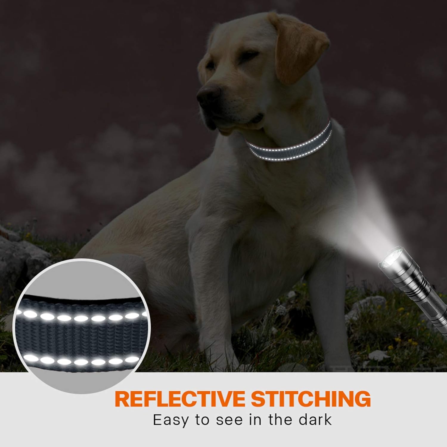 Taglory Reflective Nylon Dog Collar with Safety | ObaPet