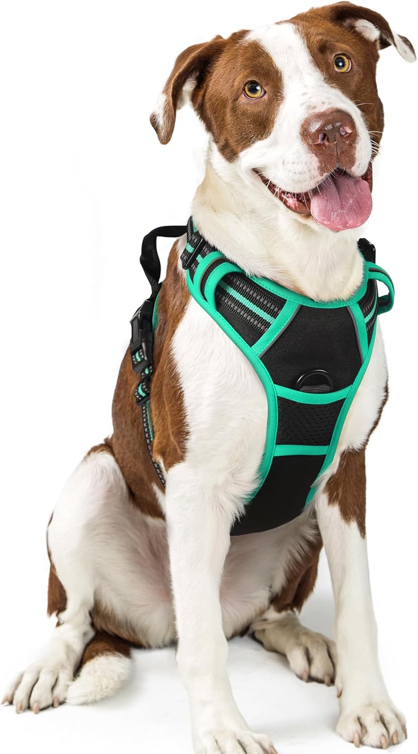 rabbitgoo Dog Harness Dog No Pull Pet Harness | ObaPet