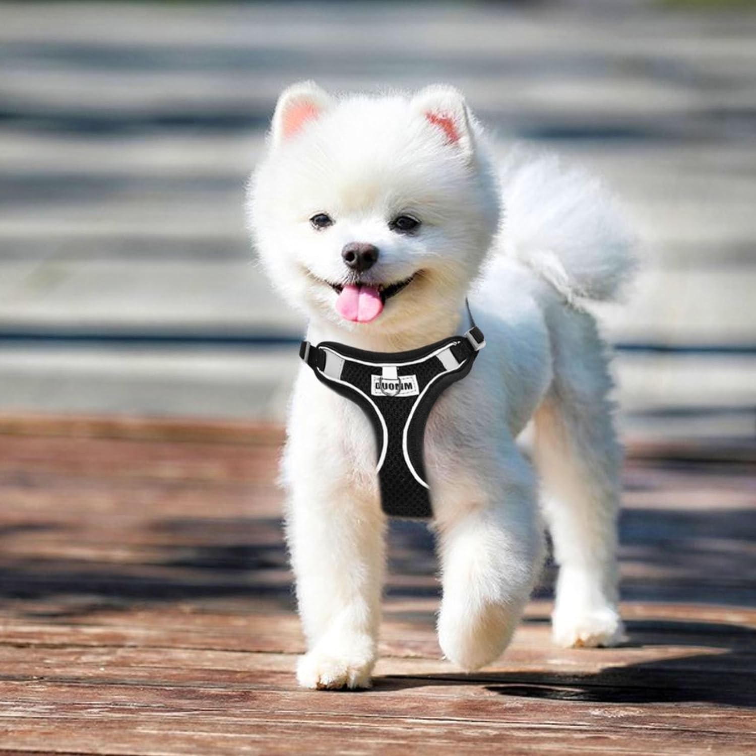 RAFIYU Dog Harness Medium Breathable Vest, | ObaPet