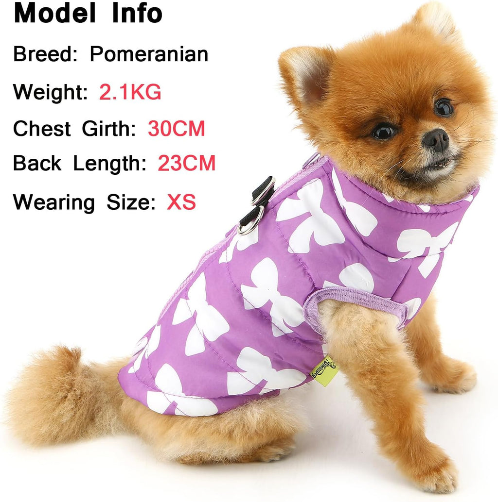 SMALLLEE_LUCKY_STORE Small Dog Cat Winter Coat Harness Jacket with D-ring Boy Girl Pet Puppy Comfort Padded Bomber Vest No Pull Chihuahua Clothes Pink Bows XS