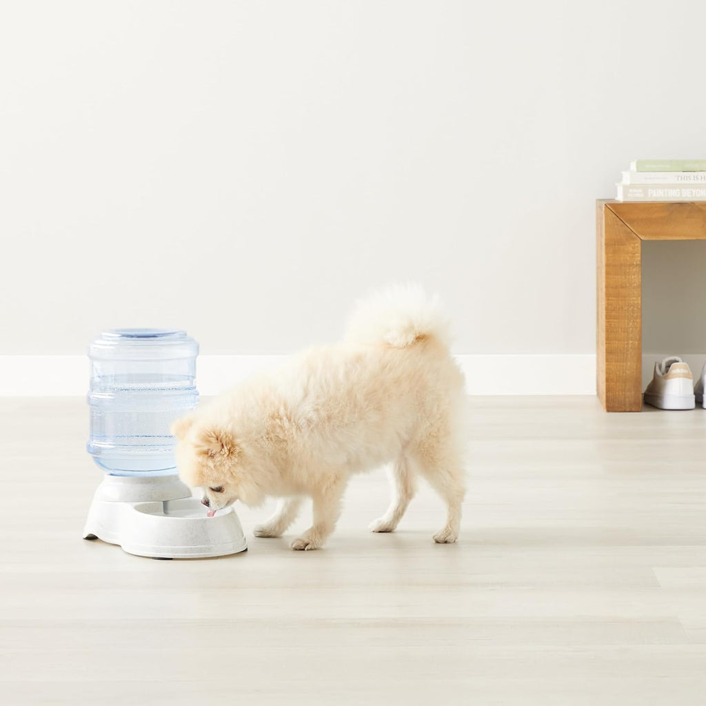Basics Hard-Sided Cat Carrier, Two-Door | ObaPet