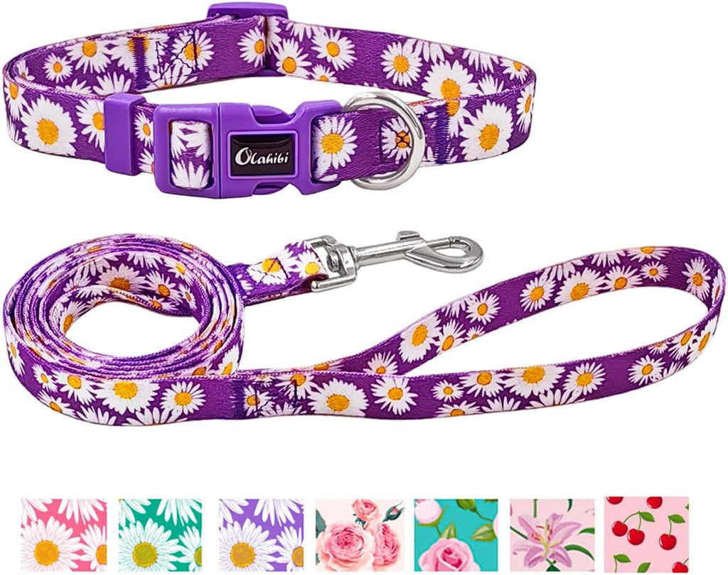 Olahibi Daisy Pattern Dog Collar and Leash | ObaPet