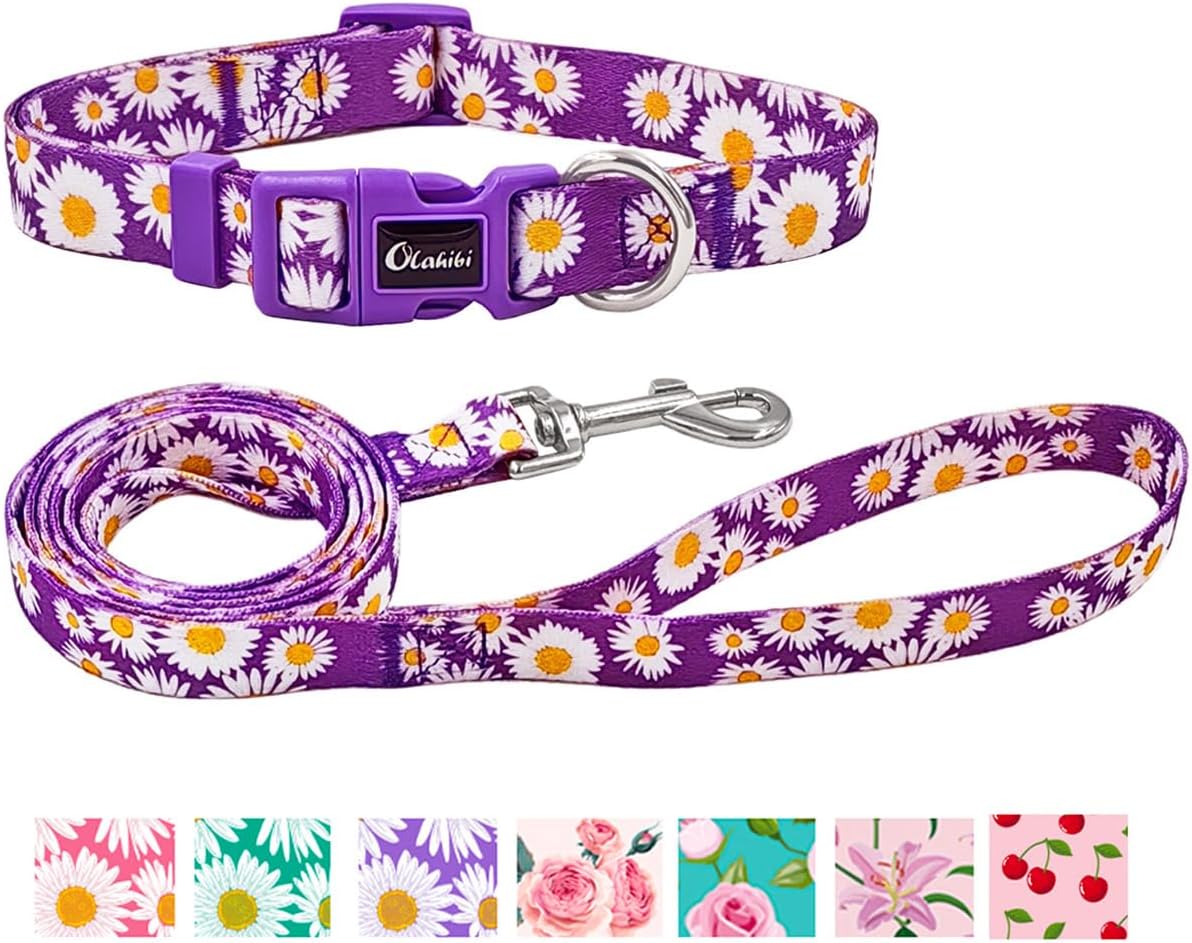 Olahibi Daisy Pattern Dog Collar and Leash | ObaPet