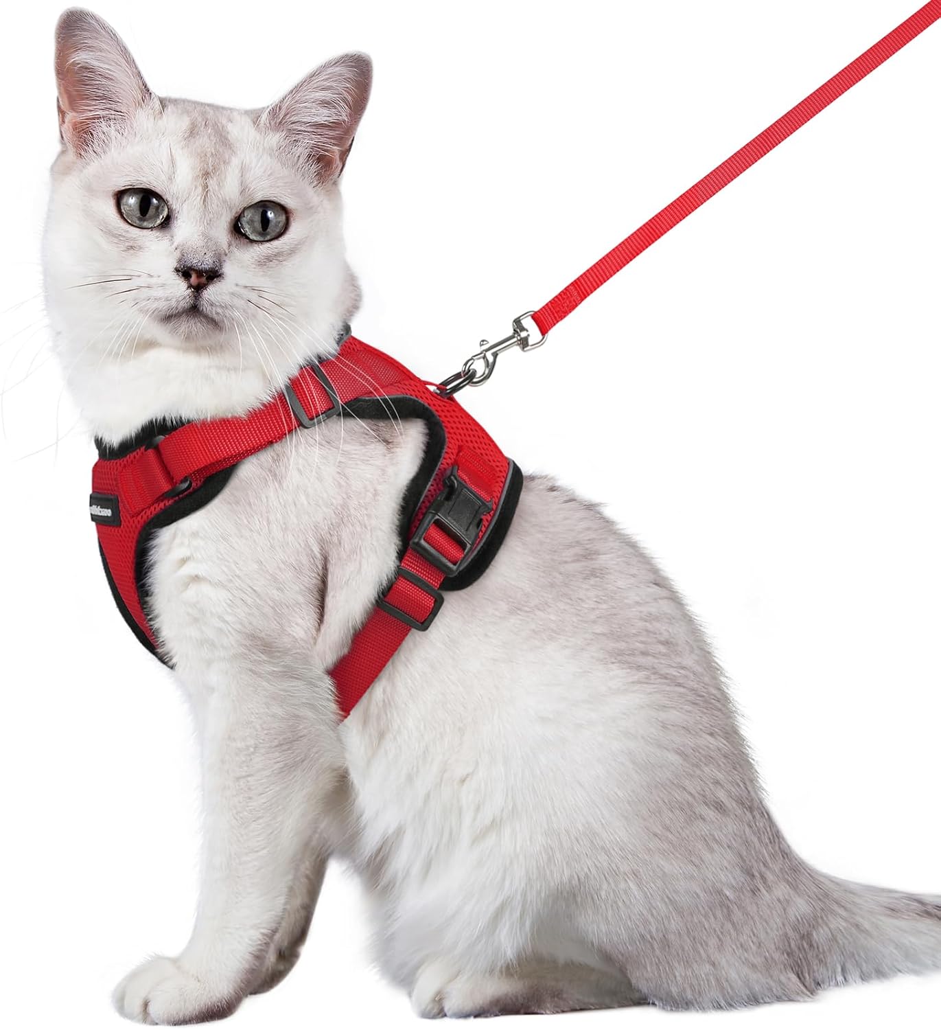 rabbitgoo Cat Harness and Lead Set, Escape Proof | ObaPet