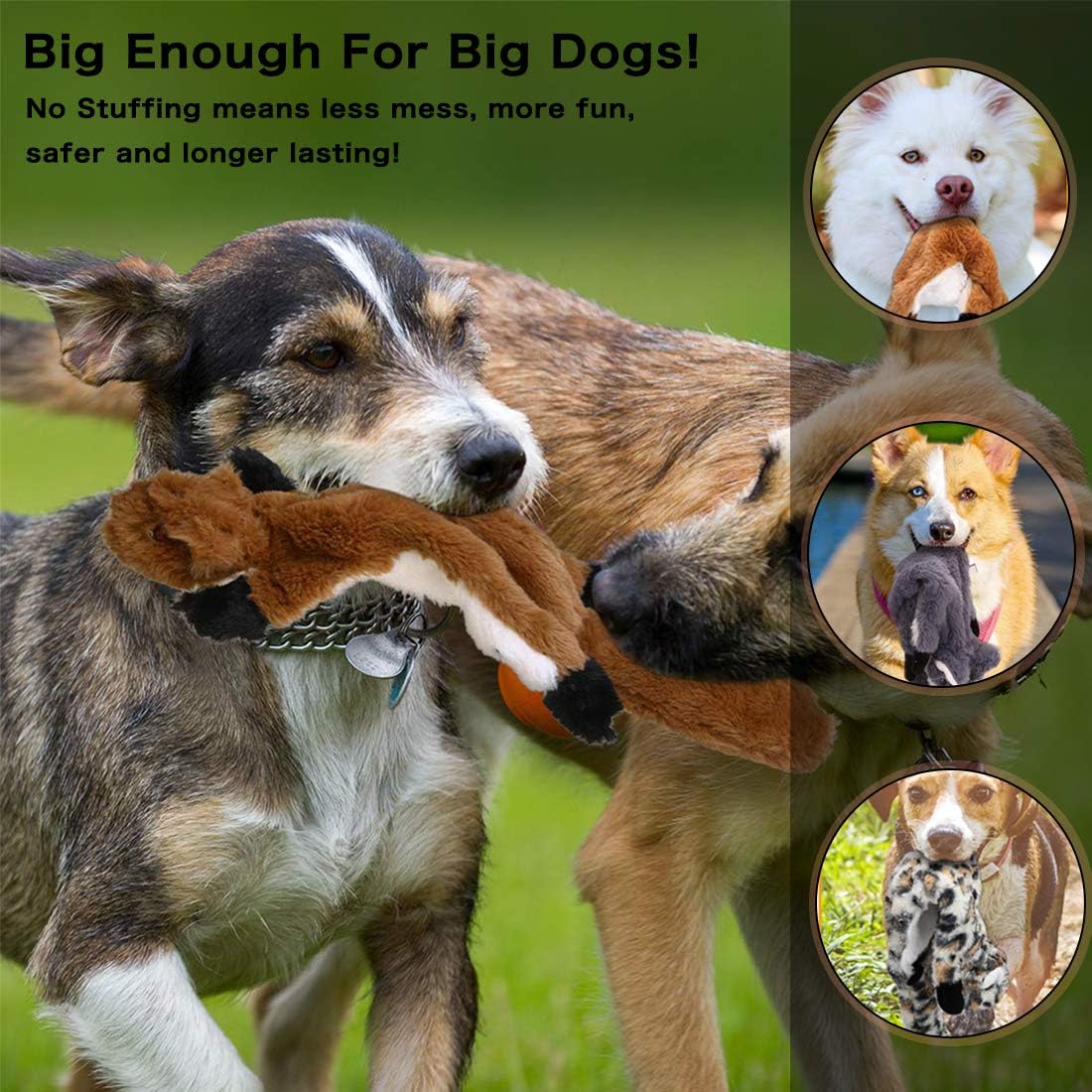 Newthinking No Stuffing Dog Toys, 5 Pack Squeaky Dog Toys, Soft Plush Dog Toys for Small Medium Large Dogs