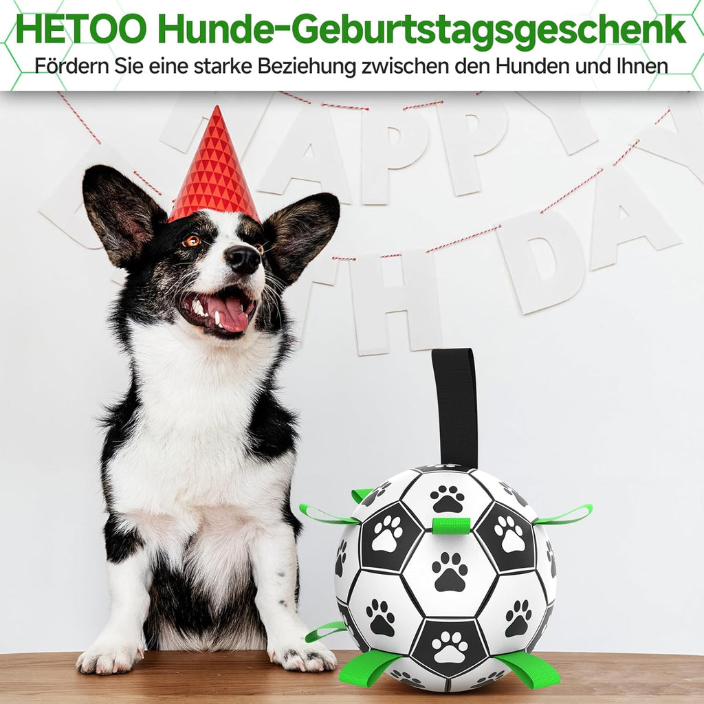HETOO Interactive Dog Football Toys with Grab Tabs, Durable Dog Water Balls for Small Medium Breed, Indoor & Outdoor