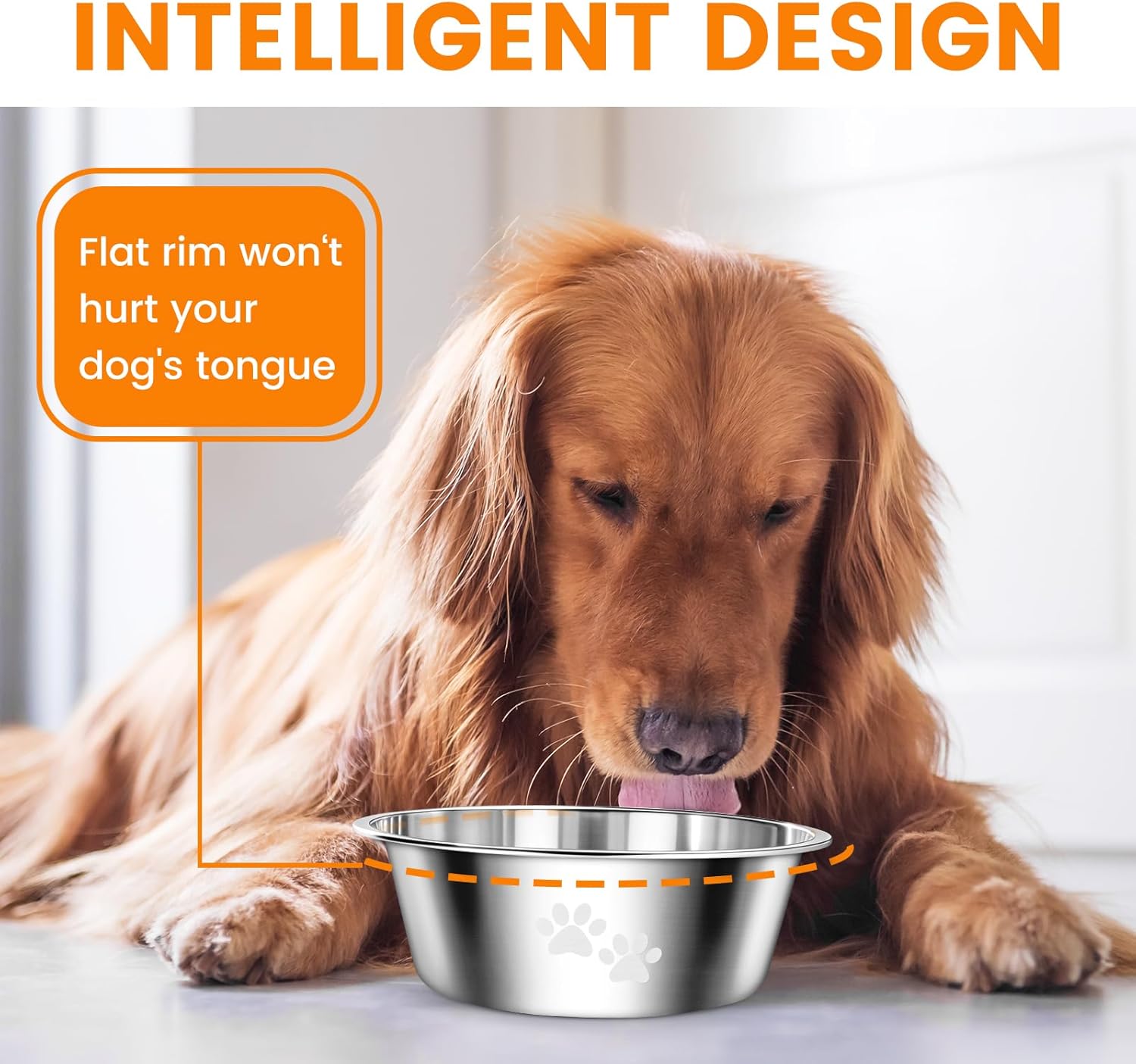 2 Pack Dog Bowls, Stainless Steel Dog Bowls with | ObaPet