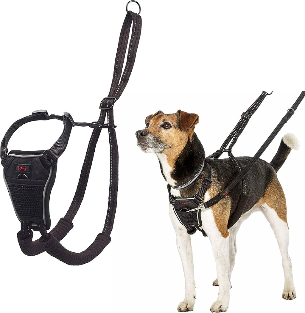 HALTI No Pull Harness Size Medium, Professional | ObaPet