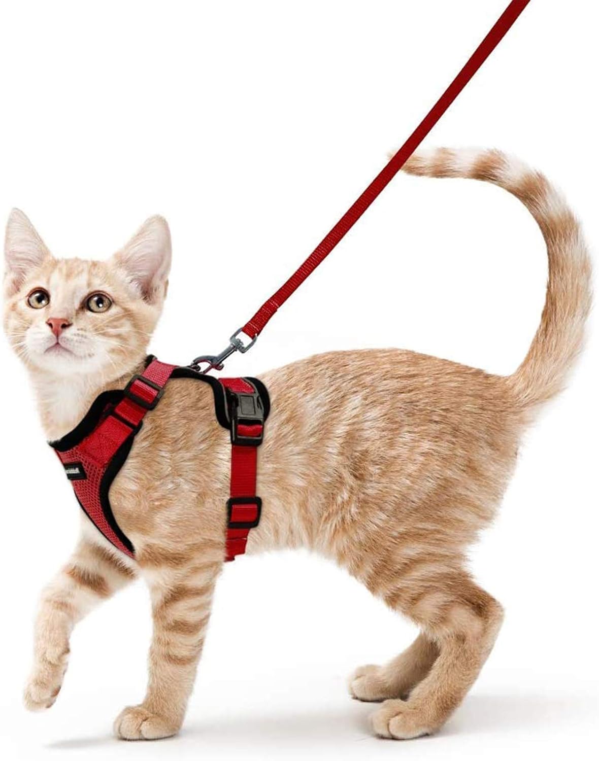rabbitgoo Cat Harness and Lead Set, Escape Proof | ObaPet
