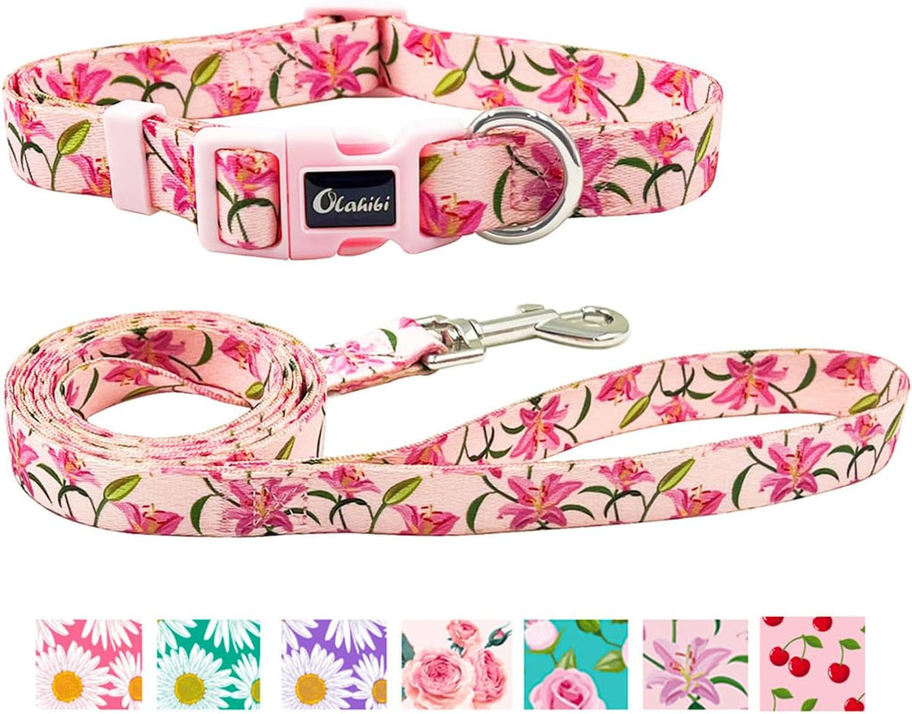 Olahibi Daisy Pattern Dog Collar and Leash | ObaPet