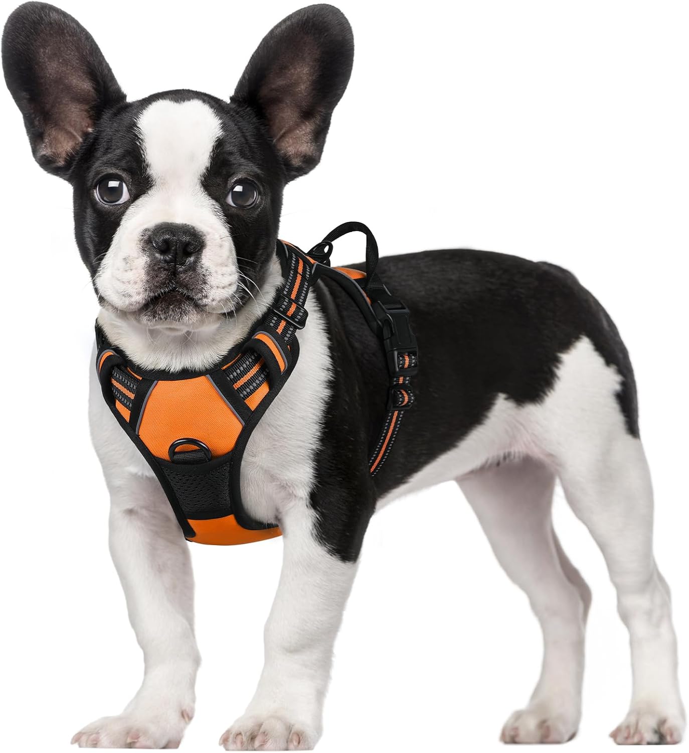 rabbitgoo Dog Harness Dog No Pull Pet Harness | ObaPet