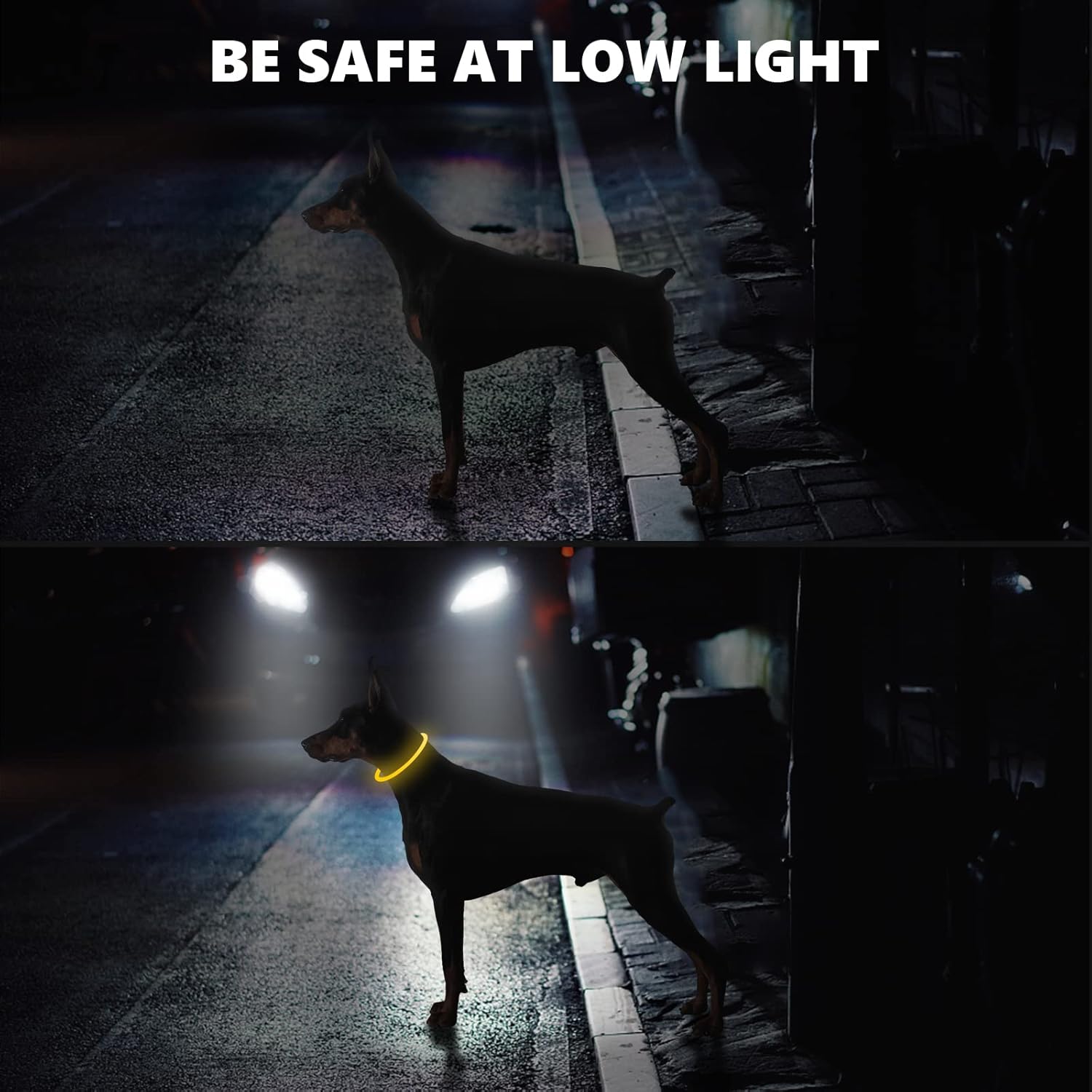 SerDa-Run Light Up Dog Collar, Dog Collar Lights | ObaPet
