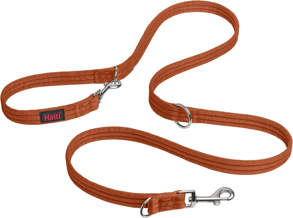 HALTI Training Lead | ObaPet
