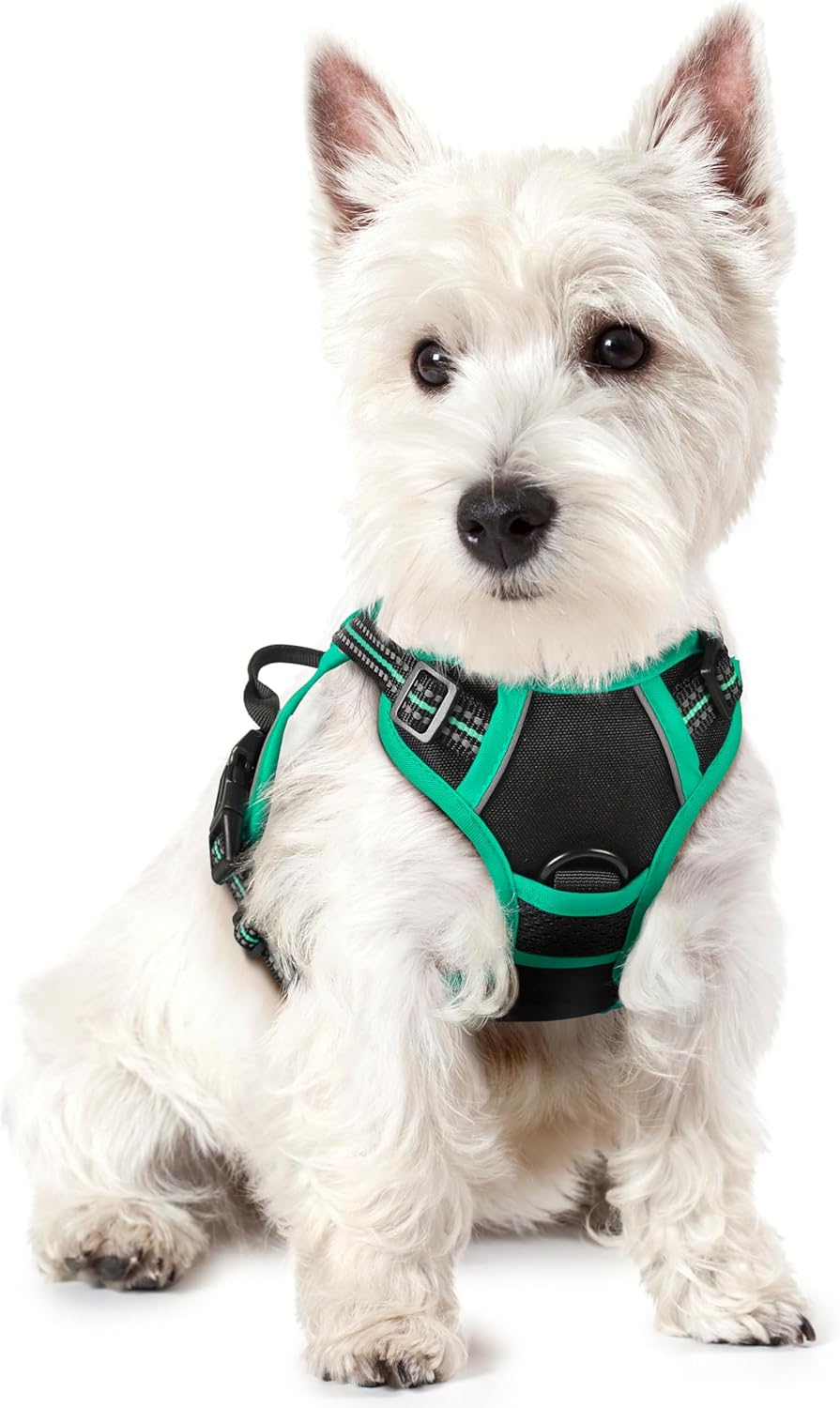 rabbitgoo Dog Harness Dog No Pull Pet Harness | ObaPet