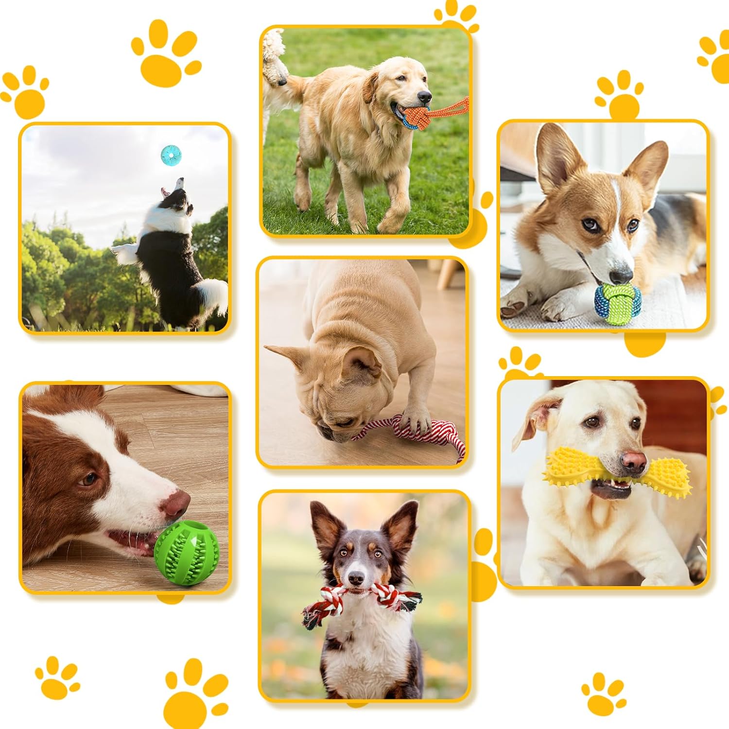 Leipple 20 Pack Luxury Dog Chew Toys for Puppy, | ObaPet
