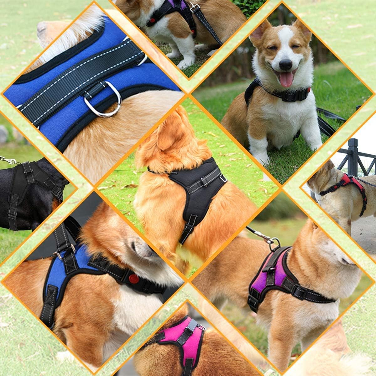 Musonic No Pull Dog Harness Breathable | ObaPet
