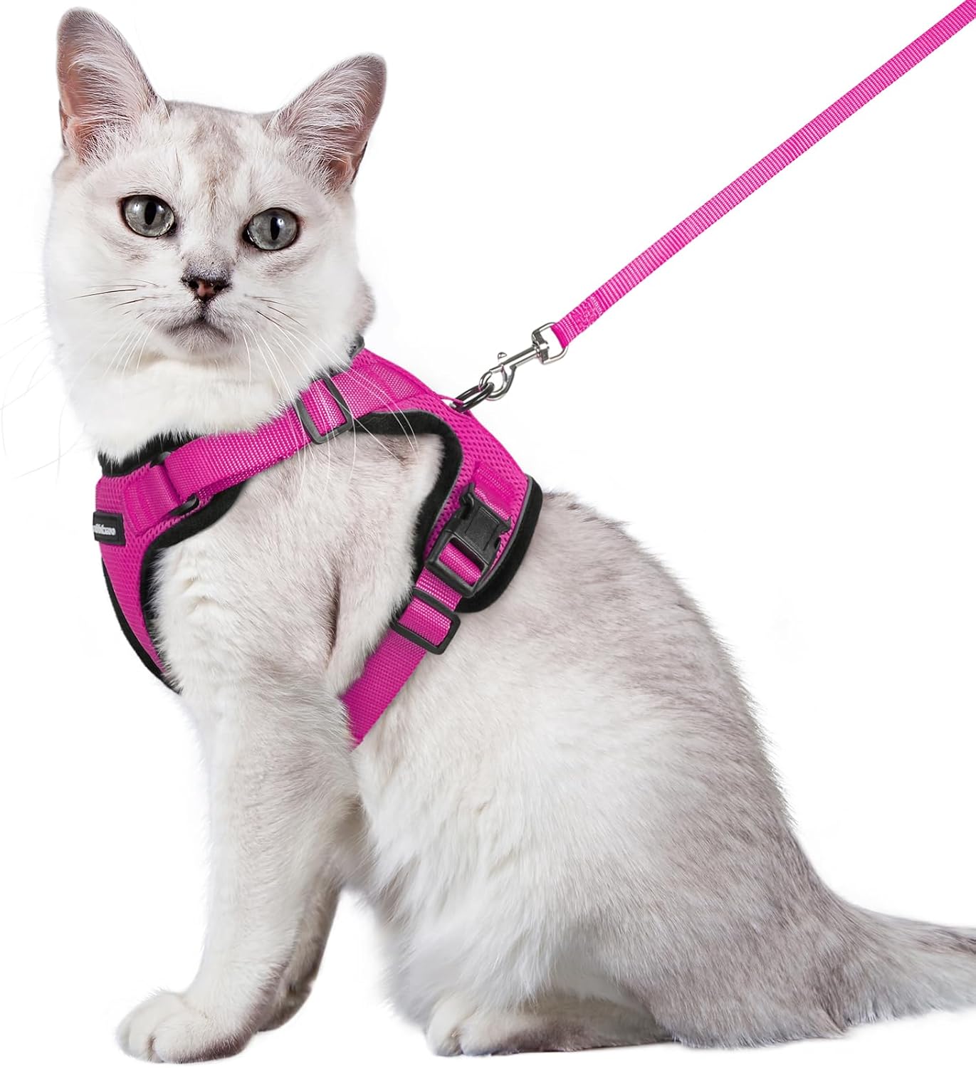 rabbitgoo Cat Harness and Lead Set, Escape Proof | ObaPet