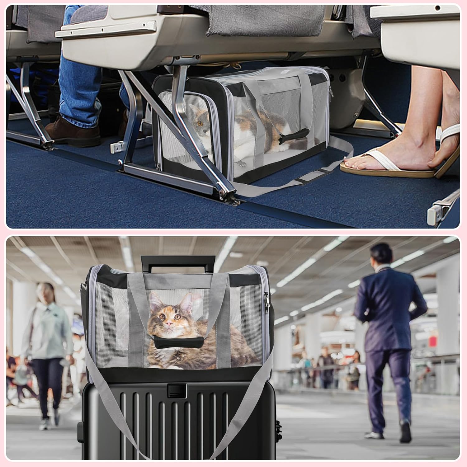 TIYOLAT Cat Carrier, Pet Carrier Airline | ObaPet