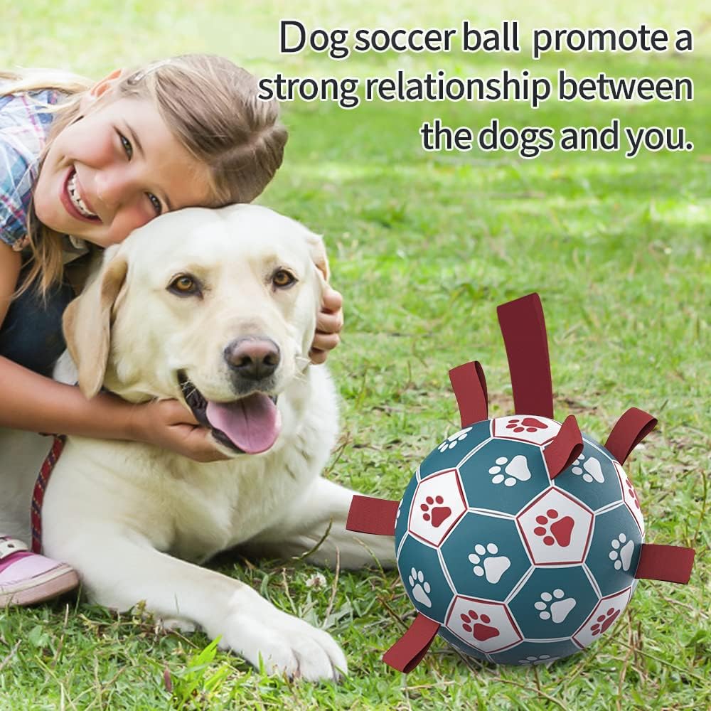 HETOO Interactive Dog Football Toys with Grab Tabs, Durable Dog Water Balls for Small Medium Breed, Indoor & Outdoor