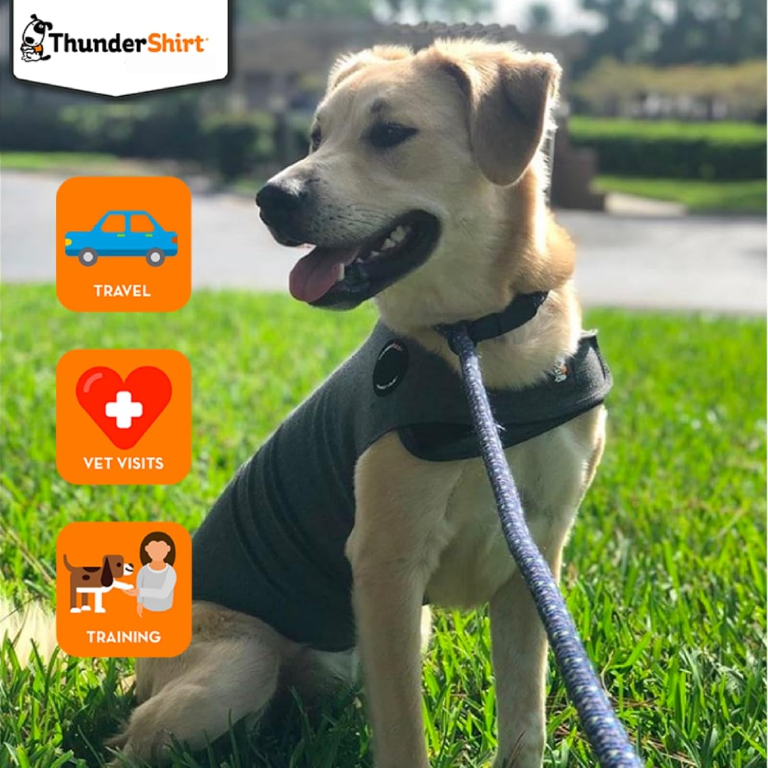 ThunderShirt for Dogs | Calming Jacket for Dogs | Puppy Coats for Small Medium Large Dogs XS S M L XL | Dog Anxiety Jacket | Instant Natural Relief for Storms, Fireworks & Separation | Grey Dog Coat